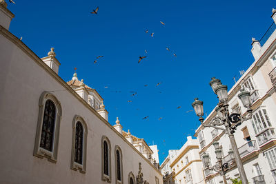 Low angle view of seagulls on building against sky