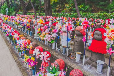 Colorful flowers for sale