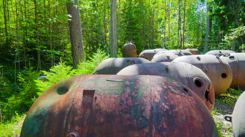 Abandoned truck on field in forest