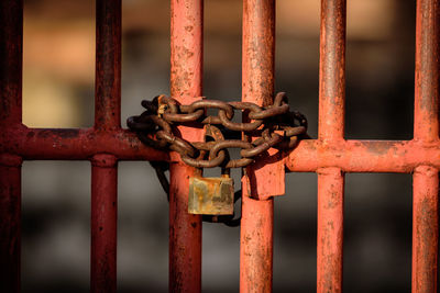 Close-up of rusty metal gate