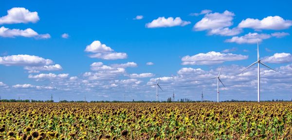 Wind generators in a sunflower field against a cloudy sky  in ukraine
