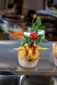 Close-up of potted plant on table in restaurant