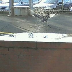 snow