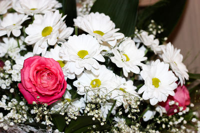 Close-up of white roses