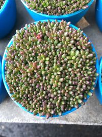 High angle view of fruits in bowl