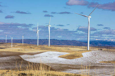 Wind turbines in a field with blue sky