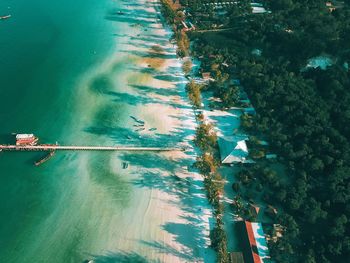 High angle view of trees by sea