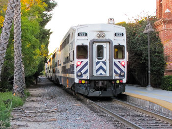 Train on railroad track amidst trees