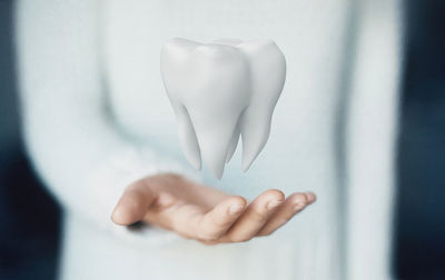 Midsection of woman holding model tooth