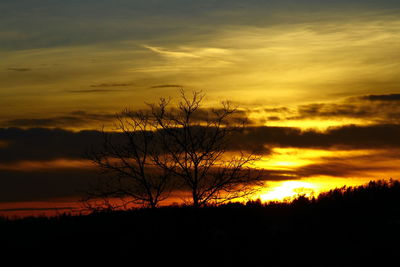 Silhouette trees against dramatic sky during sunset