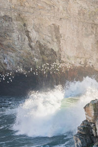 Scenic view of waterfall
