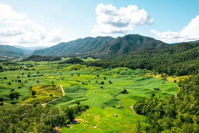 Scenic view of agricultural field against sky