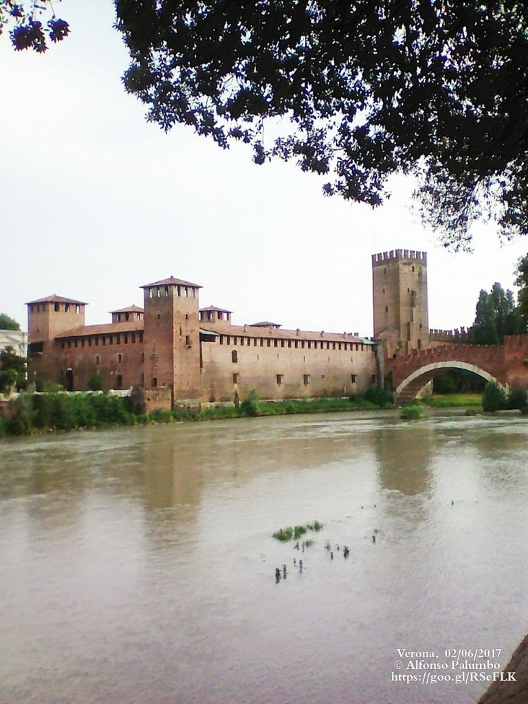 architecture, water, built structure, sky, building exterior, tree, plant, nature, bridge, connection, bridge - man made structure, river, waterfront, day, no people, reflection, building, city, transportation, outdoors, arch bridge