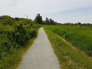 Empty road along countryside landscape