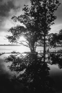 Silhouette tree by lake against sky