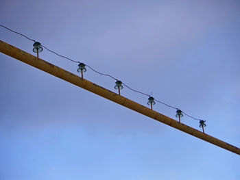 Low angle view of birds perching on cable