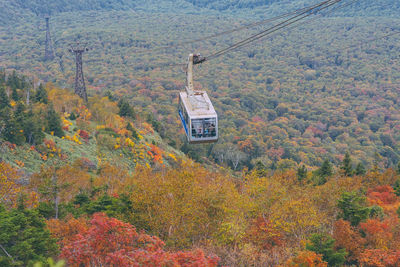 High angle view of trees in forest during autumn