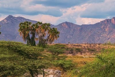 Scenic arid landscapes against sky in samburu national reserve, kenya