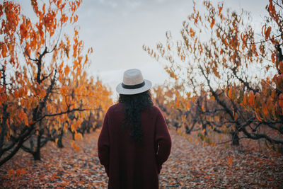 Rear view of woman standing in forest during autumn