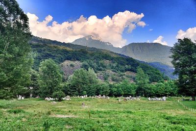 Panoramic view of green landscape against sky