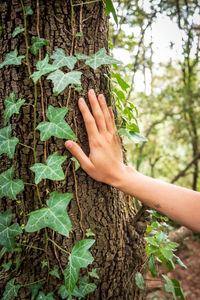 Midsection of man touching tree trunk