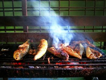 Grilled meat in plate
