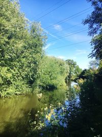 Scenic view of lake in forest against sky
