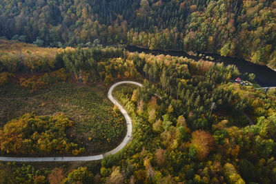 Aerial top view of curvy road through autumn forest in mountains