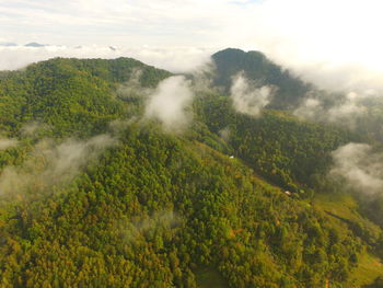 High angle view of trees on landscape against sky