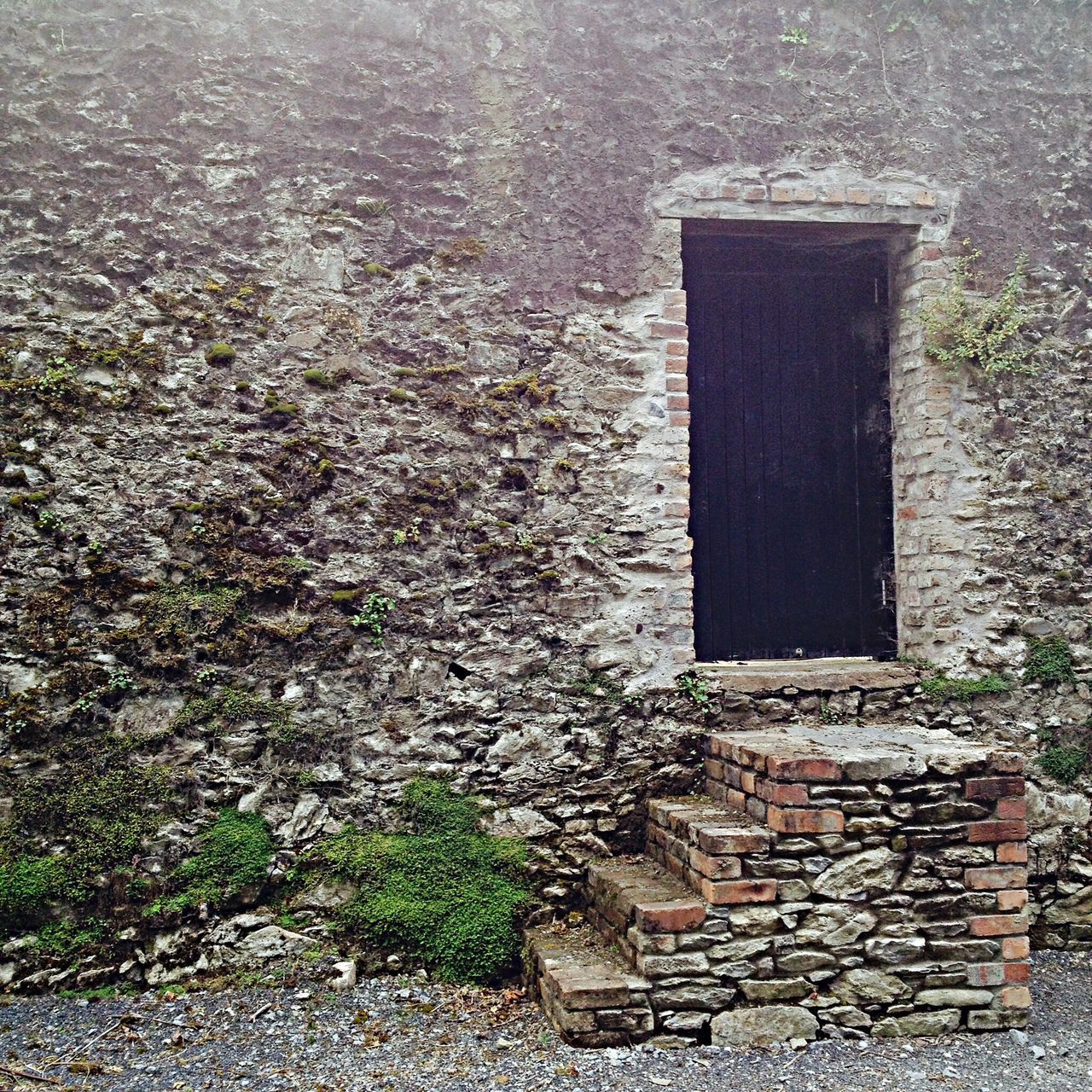 built structure, building exterior, architecture, stone wall, cobblestone, wall - building feature, plant, day, brick wall, stone material, outdoors, stone - object, no people, house, sunlight, footpath, paving stone, old, nature, growth