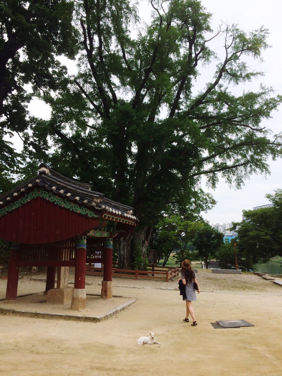 FULL LENGTH OF WOMAN WALKING BY HORSE AGAINST TREES