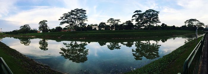 Reflection of trees in lake