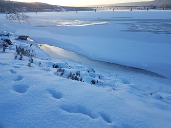 Scenic view of snow covered landscape