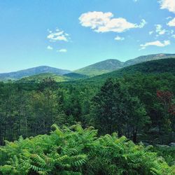 Scenic view of green landscape against sky