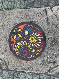 High angle view of multi colored flower on street