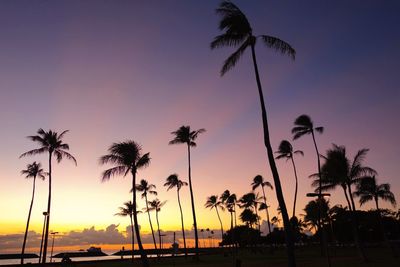 Silhouette of palm trees at beach during sunset