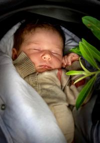 High angle view of baby sleeping