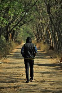 Rear view of man on footpath in forest