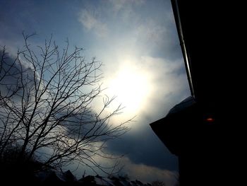 Low angle view of silhouette trees against sky