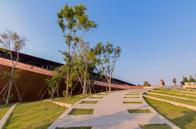 Footpath amidst trees against clear blue sky