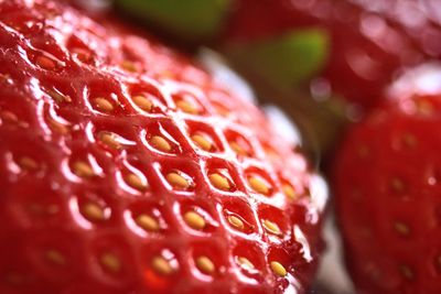 Close-up of strawberry