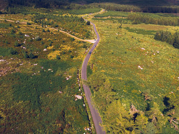 High angle view of road amidst trees