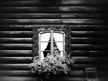 Close-up of closed flowers