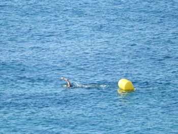 Yellow swimming in sea