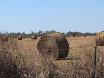 Hay bales on field against clear sky