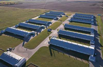 High angle view of agricultural field