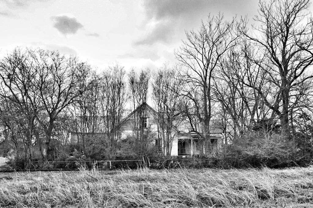 bare tree, tree, sky, built structure, architecture, building exterior, abandoned, field, cloud - sky, old, grass, damaged, landscape, rural scene, obsolete, house, deterioration, run-down, cloudy, tranquility