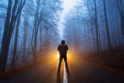 Rear view of man on road amidst trees in forest