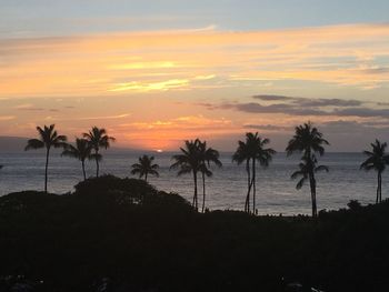 Silhouette of palm trees at sunset