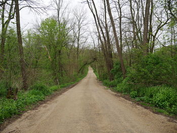 Empty road along trees